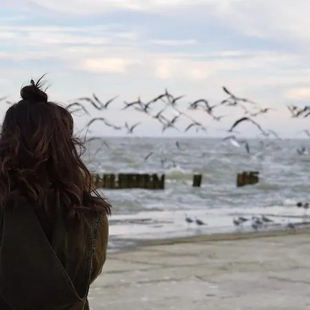 Lejlighed White Pearl 1.12 Timmendorfer Strand