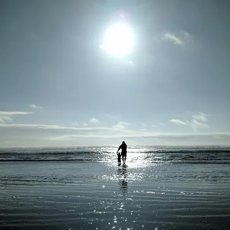 Apartment White Pearl 1.12