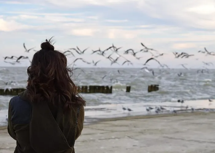 Apartment White Pearl 1.12 Timmendorfer Strand