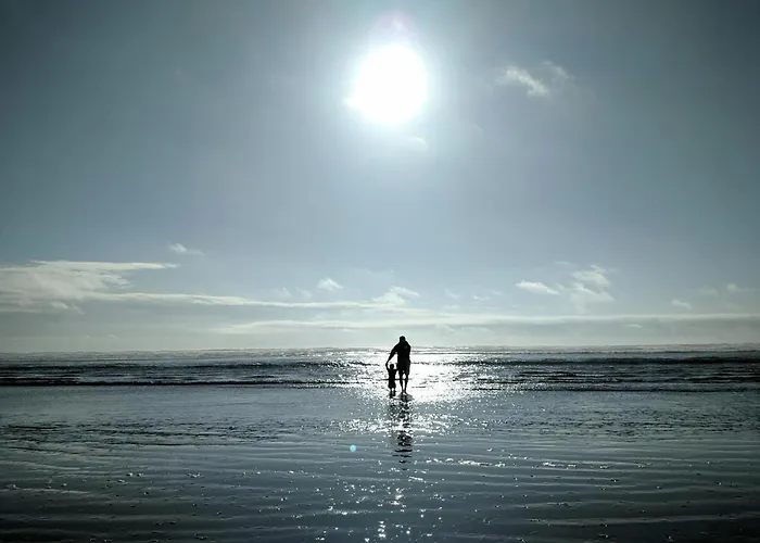 Apartment White Pearl 1.12